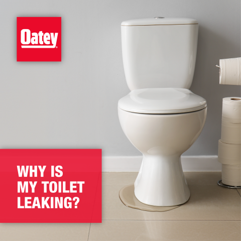 5 Reasons Why Your Toilet is Leaking and How to Fix It